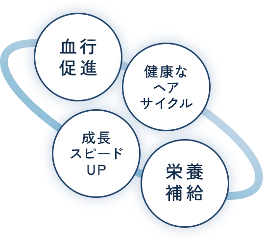 血行促進、健康なヘアサイクル、成長スピードUP、栄養補給