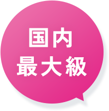 国内最大級