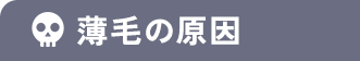薄毛の原因