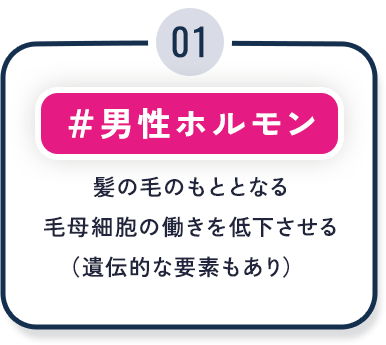 ①男性ホルモン