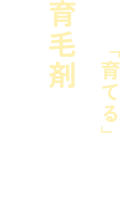 髪を「育てる」育毛剤では治療できません。