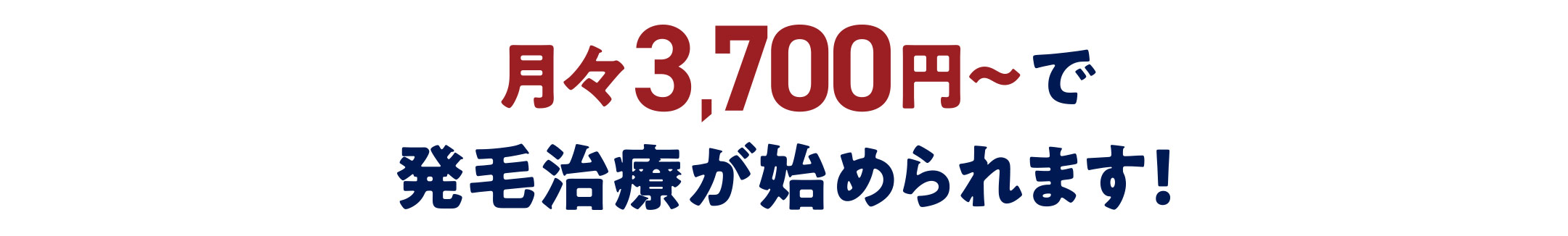 月々6,200円〜93,500円で発毛治療が始められます!