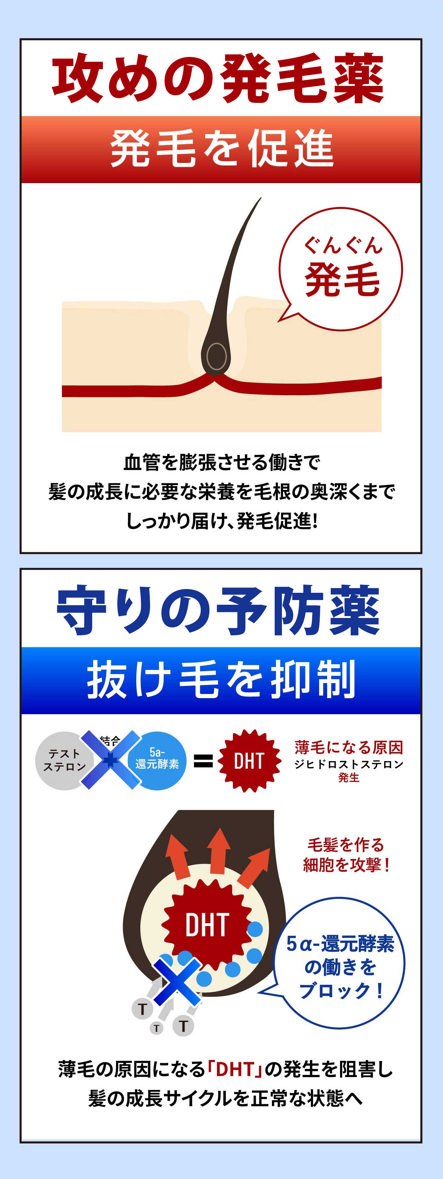 攻めの発毛効薬・守りの予防薬