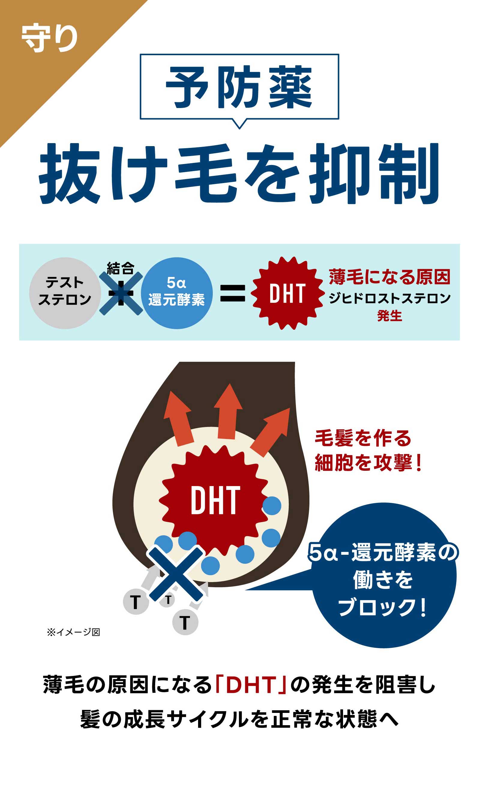 予防薬で抜け毛を抑制