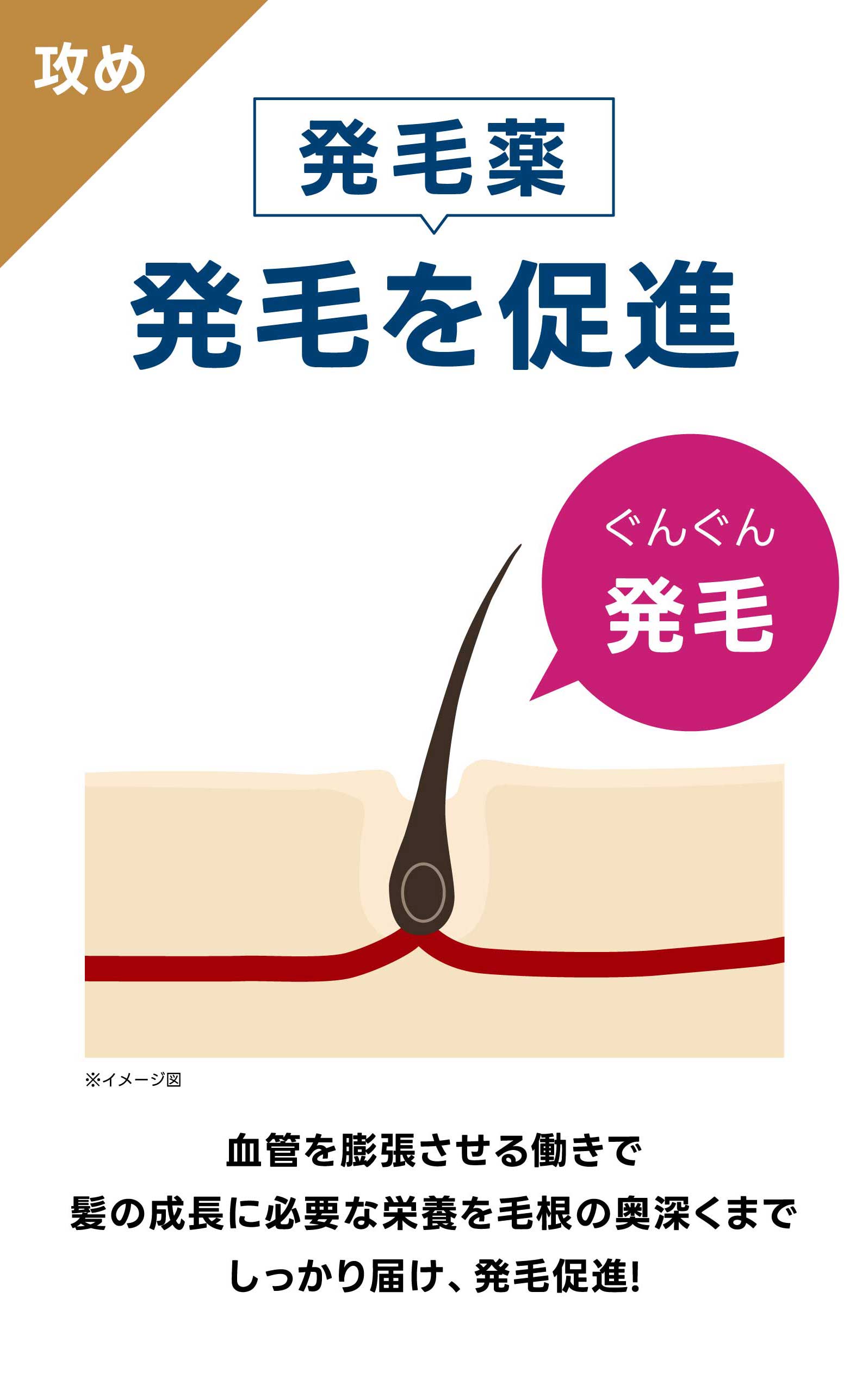 発毛薬で発毛を促進