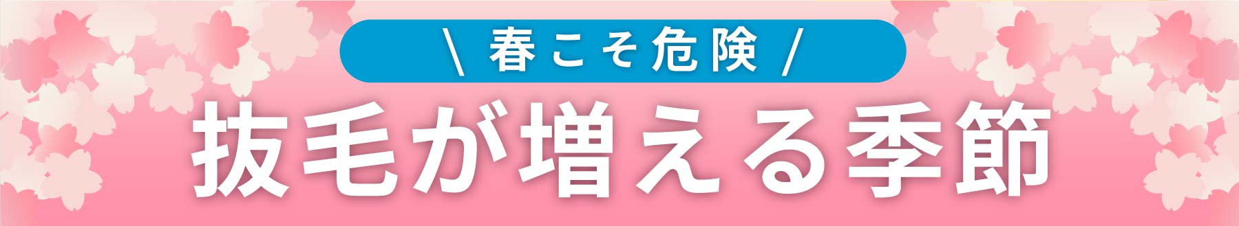 春こそ危険!抜け毛が増える季節