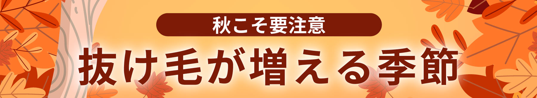 夏こそ要注意　抜け毛が増える季節