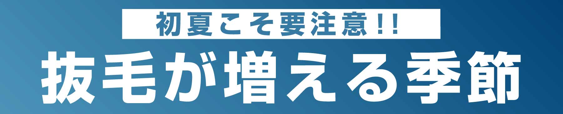 夏こそ危険!抜け毛が増える季節
