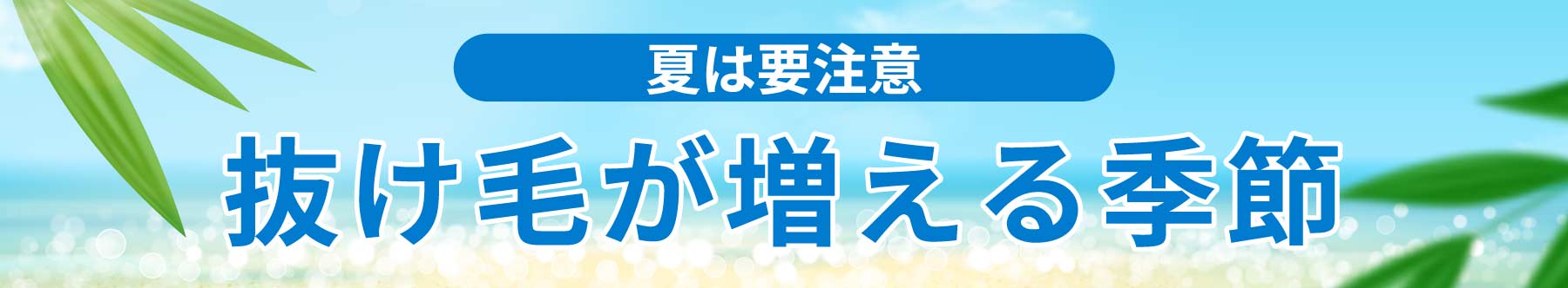 夏こそ危険!抜け毛が増える季節