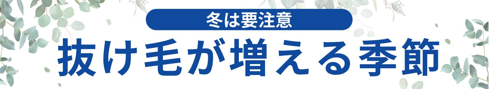 冬は要注意!抜け毛が増える季節