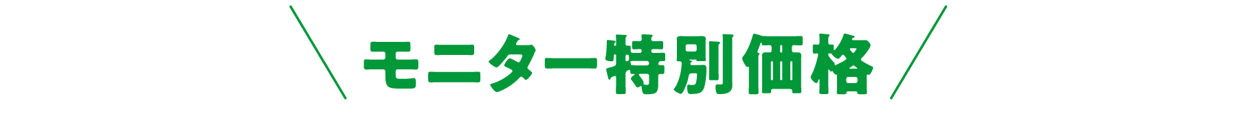 今ならモニター特別価格