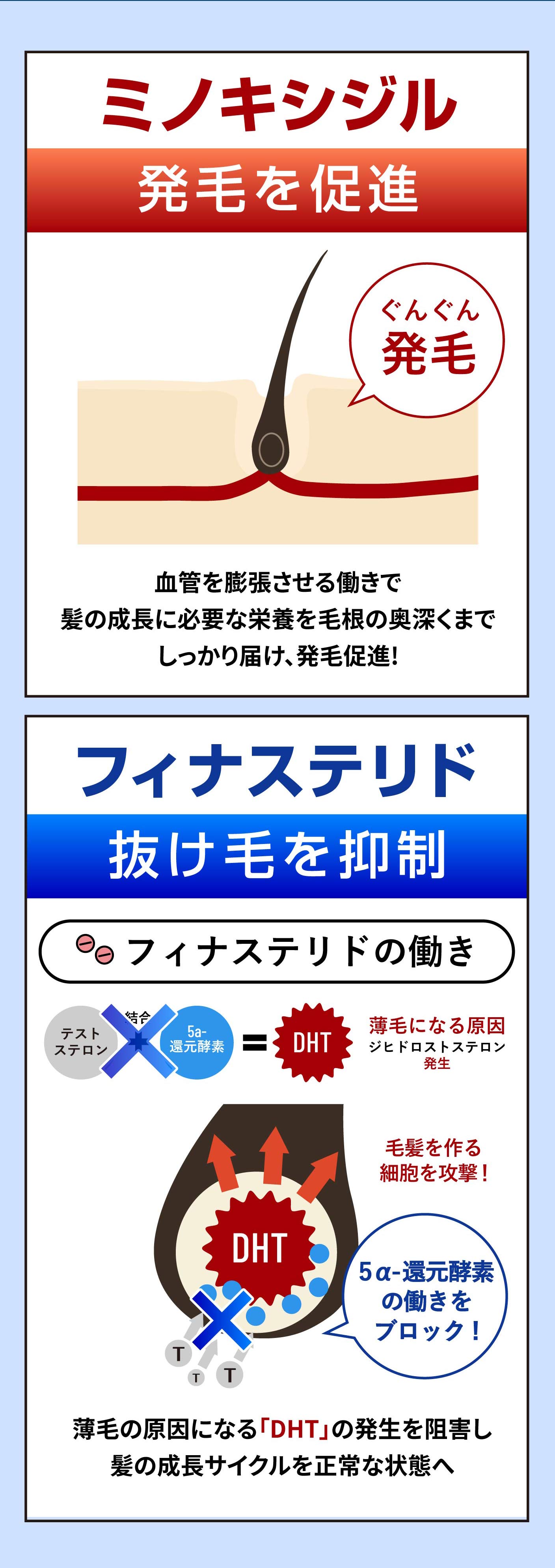 攻めの発毛薬・守りの予防薬